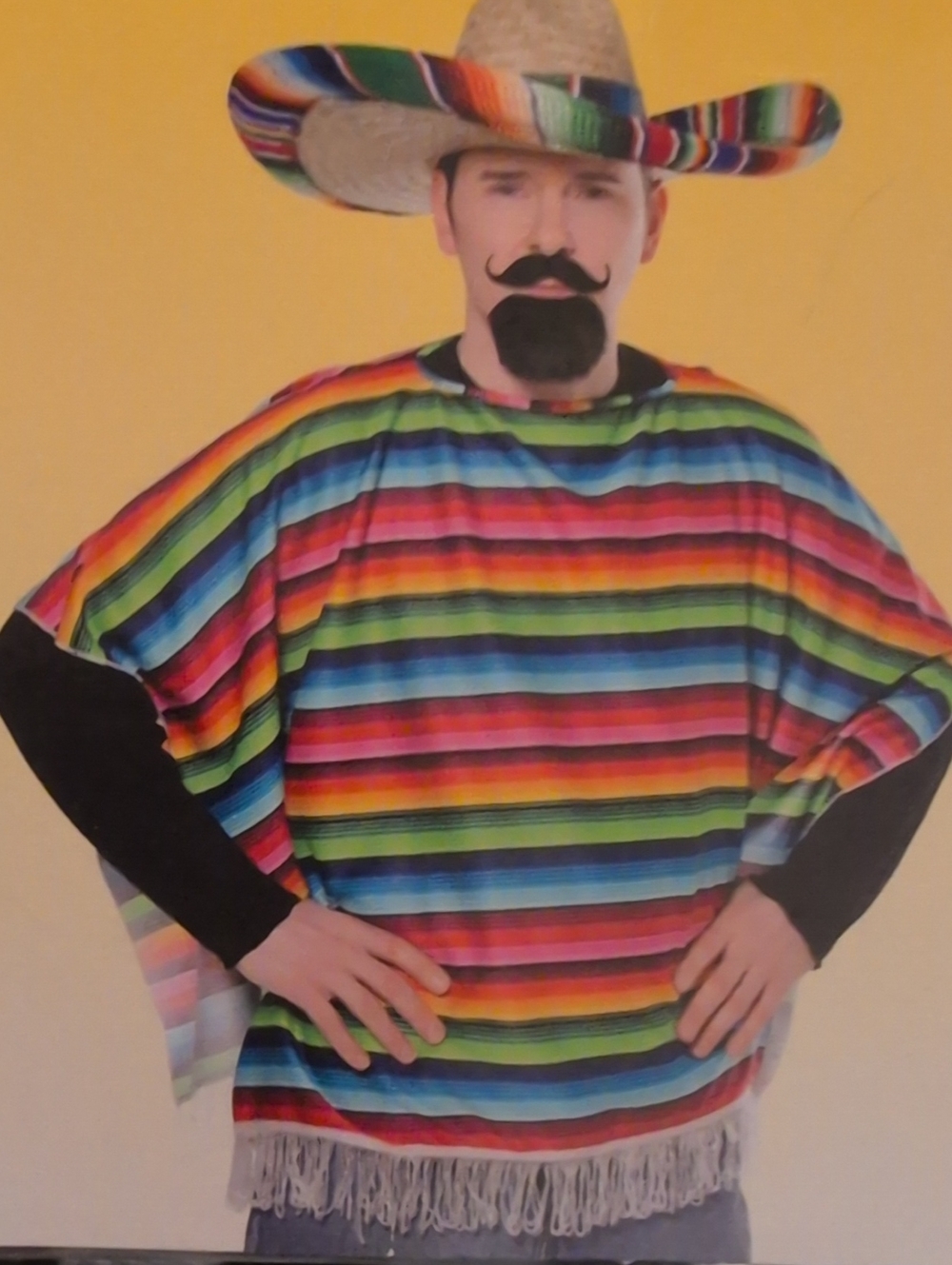 Men's Mexican Serape Colorful Striped Poncho Costume - Multicolor